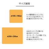 はっ水加工 洗えるフランネル ゲーテ 185×185cm | IKEHIKO | 詳細画像6 