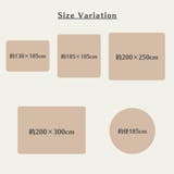 マイクロファイバー ラビットファータッチラグ フィリップⅡ 200×300cm | IKEHIKO | 詳細画像6 