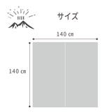 洗えてコンパクトに畳めるポリプロピレンラグ | IKEHIKO | 詳細画像5 