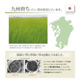 い草ごろ寝マット 『さわやか マット』 約70×120cm | IKEHIKO | 詳細画像6 