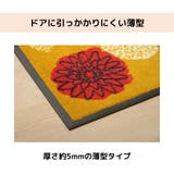 洗える外玄関マット フォレスタ 59×90cm | IKEHIKO | 詳細画像2 