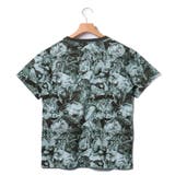 WM1573509 カット | B.C STOCK | 詳細画像2