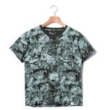 グリーン | WM1573509 カット | B.C STOCK