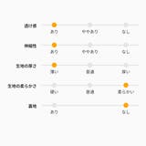 \大人気定番アイテム 肩ラインをカバーして細見え&上品さUP!フレンチスリーブT | Ada. | 詳細画像21