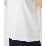 ベーシックロゴTシャツ/洗える | MK MICHEL KLEIN | 詳細画像47