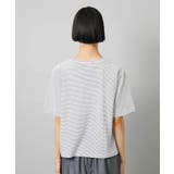 透明箔プリントボーダーTシャツ | MICHEL KLEIN | 詳細画像21 
