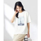 【コットン100％】フォトプリントTシャツ | a.v.v【WOMEN】 | 詳細画像2 
