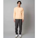 【洗濯機で洗える】ジャカードクルーネックニット | a.v.v【MEN】 | 詳細画像5 