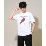 プラダヲキタアクマプリントTシャツ | a.v.v【MEN】 | 詳細画像1