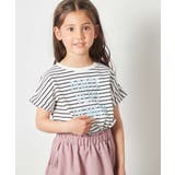 ボーダー | [100-130]ロゴアソートＴシャツ | a.v.v【KIDS】