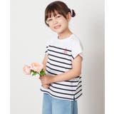 【接触冷感/綿100％】[110-130]ボーダーTシャツ | a.v.v【KIDS】 | 詳細画像3 