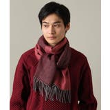 パープル | 【ユニセックスで人気】4面グラデーションマフラー | a.v.v【MEN】