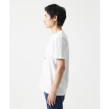 【カワイサトミ / コラボTシャツ】ビーグルドッグプリント | MK MICHEL KLEIN homme | 詳細画像5