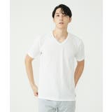 ホワイト(90) | カットソー / サッカーストライプジャージ | MK MICHEL KLEIN homme