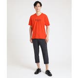 ブランドロゴカットソー / シルキーテンジク | MK MICHEL KLEIN homme | 詳細画像3