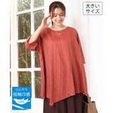 オレンジ | 【WEB先行販売】【大きいサイズ/接触冷感】ドビーストライプイレヘムブラウス | eur3