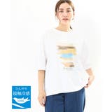 【大きいサイズ】コットンプリントTシャツ | eur3 | 詳細画像1 