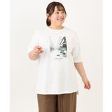 【大きいサイズ/接触冷感/UVカット】ネコプリントTシャツ | eur3 | 詳細画像2