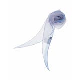 シアードットアクセントスカーフ | eur3 | 詳細画像1 