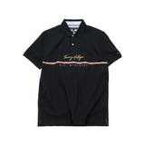 Desert Sky | TOMMY HILFIGER トミー | jiggysshopselect