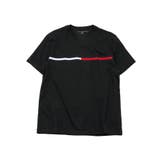 Dark Sable | TOMMY HILFIGER トミー | jiggysshopselect