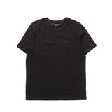 Dark Sable | TOMMY HILFIGER トミー | jiggysshopselect
