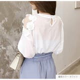 ブラウス 細ボーダー 肩みせ | JOCOSA | 詳細画像4 