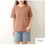 ブラウン | Tシャツ ボーダー 定番 | JOCOSA