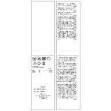 カットワークハーフスリーブシャツ | VIS | 詳細画像32