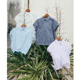 【POLO BCS】VIS別注コンパクトシャツ | VIS  | 詳細画像2 
