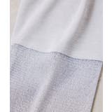 ラメメッシュスリーブ切り替えシアーロンT | VIS  | 詳細画像39 