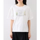 キラリアソートフォト＆ロゴTシャツ | VIS  | 詳細画像12 