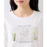 キラリアソートフォト＆ロゴTシャツ | VIS  | 詳細画像15 