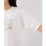キラリアソートフォト＆ロゴTシャツ | VIS  | 詳細画像17 