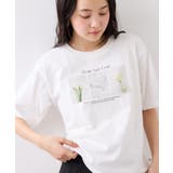 キラリアソートフォト＆ロゴTシャツ | VIS  | 詳細画像5 