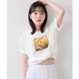 フォト&ロゴアソートプリントTシャツ/接触冷感・汗染み防止 | VIS | 詳細画像11