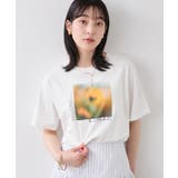 フォト&ロゴアソートプリントTシャツ/接触冷感・汗染み防止 | VIS | 詳細画像9
