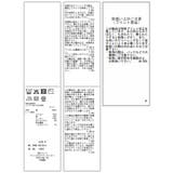 レースレイヤードロゴ半袖Tシャツ | VIS | 詳細画像30