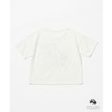 フォトプリントTシャツ | VIS  | 詳細画像24 