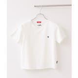 【POLO BCS】VIS別注刺しゅうコンパクトTシャツ/一部WEB限定カラー | VIS  | 詳細画像17 