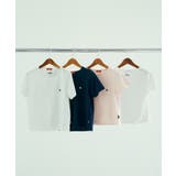 【POLO BCS】VIS別注刺しゅうコンパクトTシャツ/一部WEB限定カラー | VIS  | 詳細画像2 