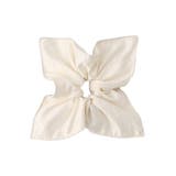 レースコンビシュシュ | VIS  | 詳細画像10 