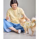 【サンリオキャラクターズ×ROPE PICNIC】日焼けデザイン 透かしカットソ… | ROPE' PICNIC | 詳細画像13