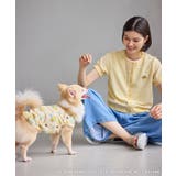 【サンリオキャラクターズ×ROPE PICNIC】日焼けデザイン 透かしカットソ… | ROPE' PICNIC | 詳細画像14