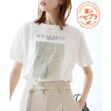ホワイト系(14) | RENUアソートフォトTシャツ リンクコーデ 新色追加 | ROPE' PICNIC