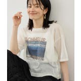 キナリ(16) | フォトプリントニットTシャツ | ROPE' PICNIC