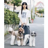 【comif(コミフ)×ROPE' PICNIC】アソートTシャツ | ROPE' PICNIC | 詳細画像2 
