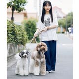 【comif(コミフ)×ROPE' PICNIC】アソートTシャツ | ROPE' PICNIC | 詳細画像28 