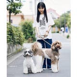 【comif(コミフ)×ROPE' PICNIC】アソートTシャツ | ROPE' PICNIC | 詳細画像29 
