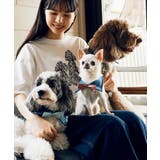 【comif(コミフ)×ROPE' PICNIC】アソートTシャツ | ROPE' PICNIC | 詳細画像32 